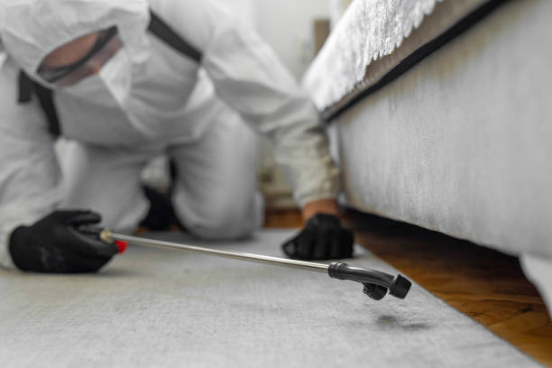Professional Pest Control technician working in Perry County County, MS